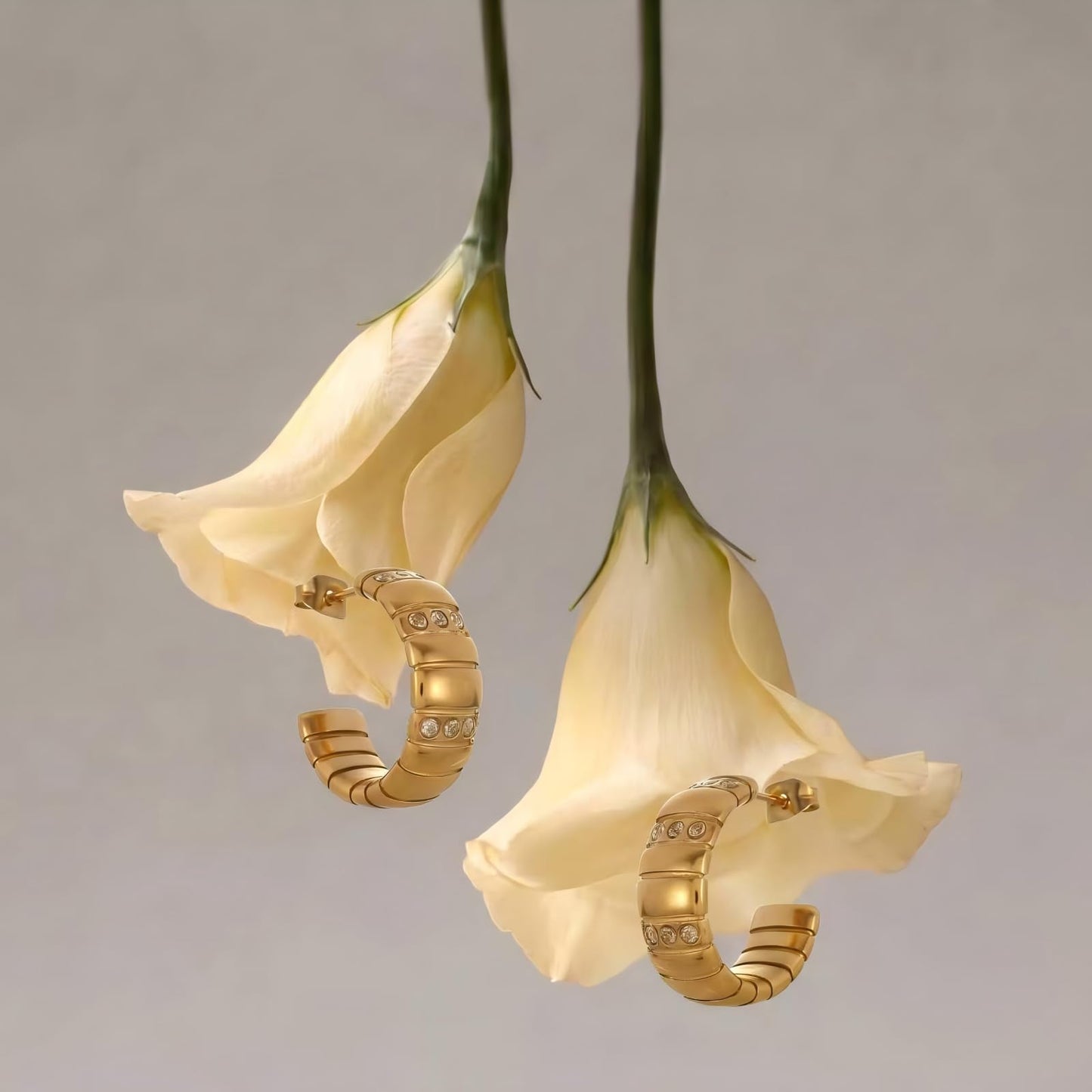 WW DREISEGEL Earrings lifestyle and detail image